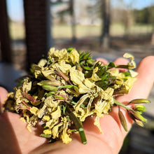 Load image into Gallery viewer, Greens/cabbage/collards