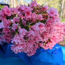 Load image into Gallery viewer, Cut flowers