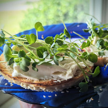 Load image into Gallery viewer, Microgreens