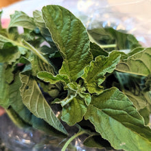 Load image into Gallery viewer, Greens/cabbage/collards