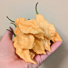 Load image into Gallery viewer, Hot pepper pint mix (different heat levels)