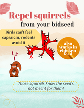 Load image into Gallery viewer, Dragon's defense - repel squirrels from birdseed!