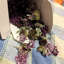 Load image into Gallery viewer, Garlic/onions