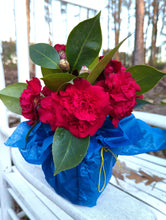 Load image into Gallery viewer, Cut flowers