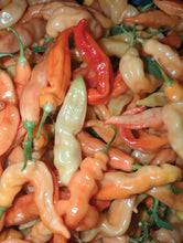 Load image into Gallery viewer, Pepper seeds