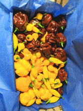 Load image into Gallery viewer, Tropical flavors blend
