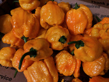 Load image into Gallery viewer, Peppers by color