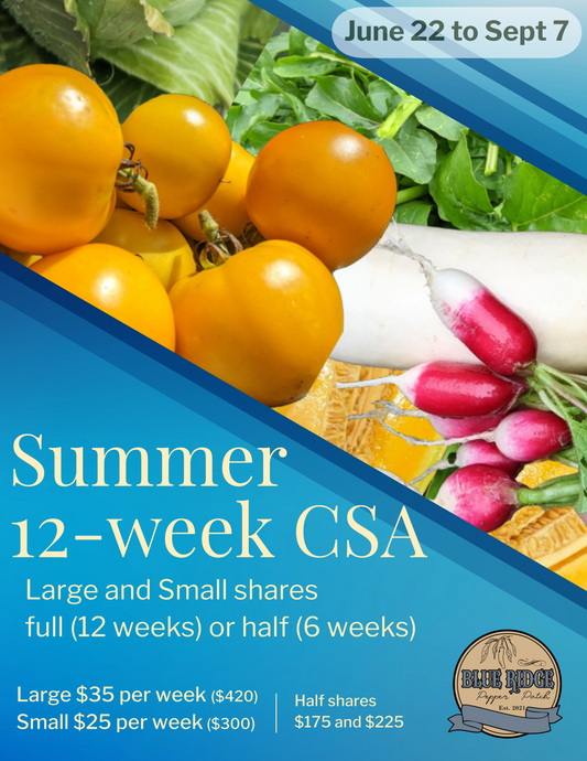 Introducing our summer 2024 CSA!