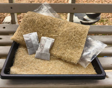 Load image into Gallery viewer, Microgreens no-mess DIY kits and refills
