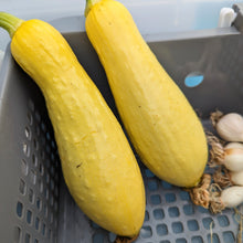 Load image into Gallery viewer, Summer squashes

