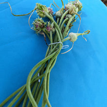 Load image into Gallery viewer, Garlic/onions
