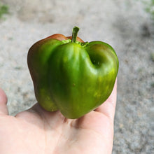 Load image into Gallery viewer, Peppers (low heats and sweet peppers)
