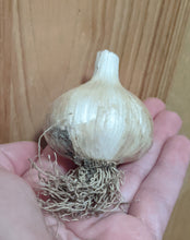Load image into Gallery viewer, Garlic/onions
