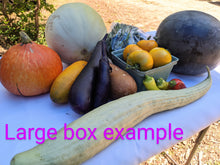 Load image into Gallery viewer, Farm bounty boxes
