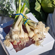 Load image into Gallery viewer, Garlic/onions
