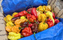 Load image into Gallery viewer, Hot pepper pint mix (different heat levels)
