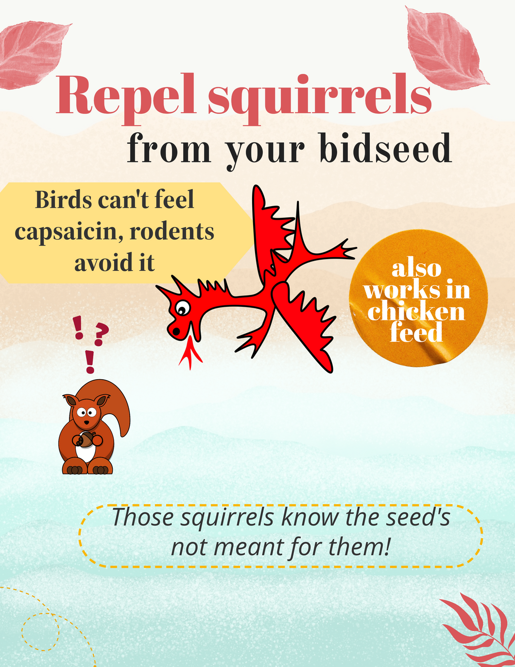 Dragon's defense - repel squirrels from birdseed! (local pickup)