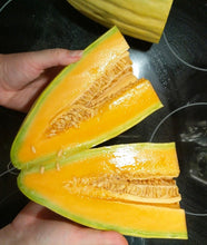 Load image into Gallery viewer, Melons
