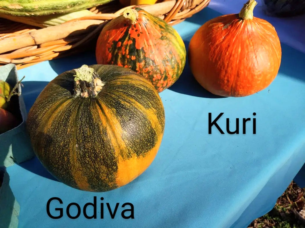 Winter squashes