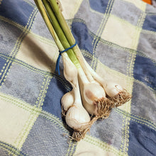 Load image into Gallery viewer, Garlic/onions
