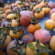 Load image into Gallery viewer, Tree fruits and nuts
