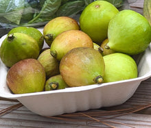 Load image into Gallery viewer, Tree fruits and nuts
