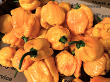 Load image into Gallery viewer, Peppers by color
