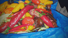 Load and play video in Gallery viewer, Farmer&#39;s choice variety
