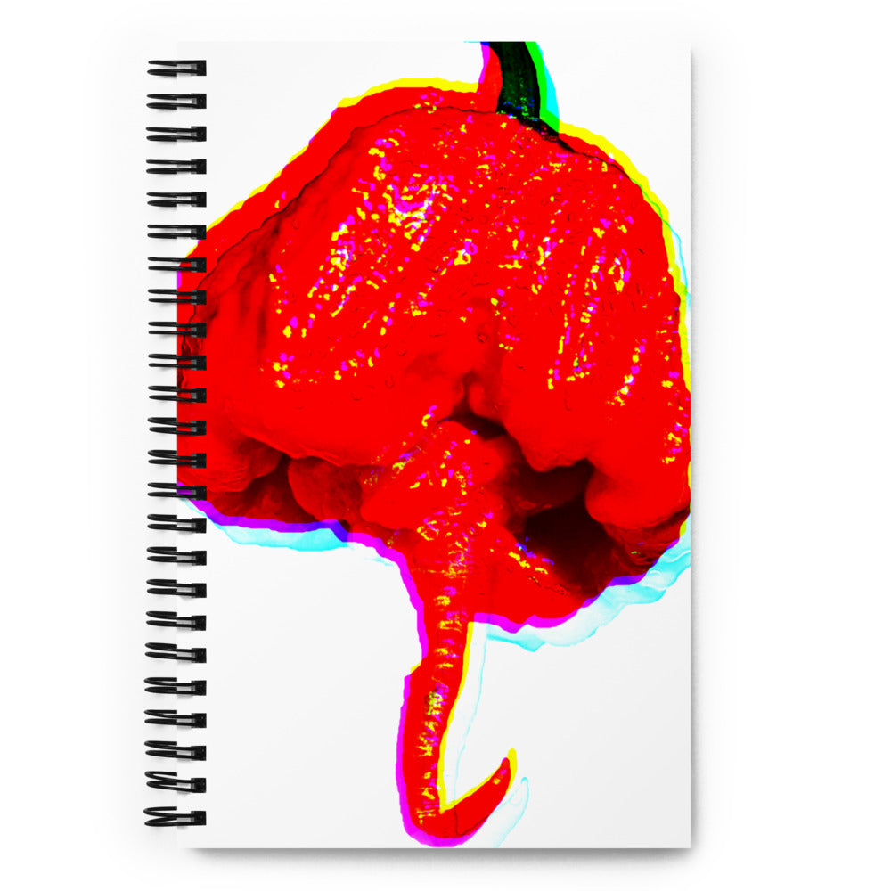 Reaper notebook